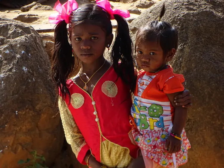 బోపి డాల్క